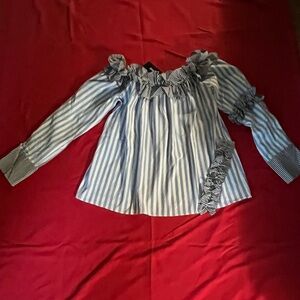 Vivid Blue and White Striped Top